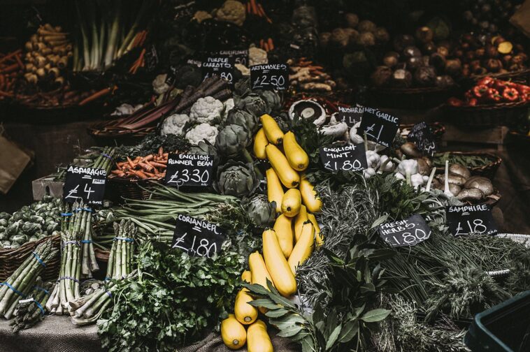 5 urgent steps to address the global food crisis by FAO 5 urgent steps to address the global food crisis by FAO