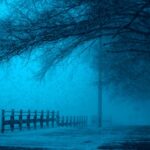 Is It True? 7 Internet Rumors That Turne Is It True? 7 Internet Rumors That Turne