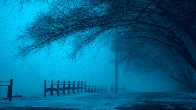 Is It True? 7 Internet Rumors That Turne Is It True? 7 Internet Rumors That Turne
